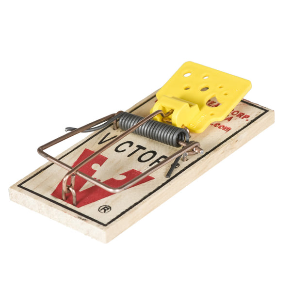 Mouse Trap